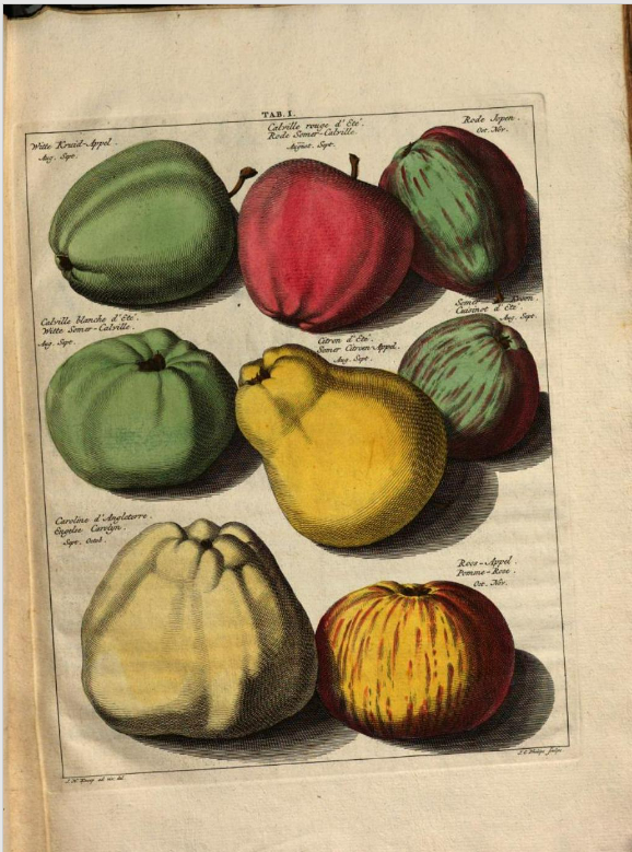appels